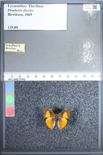 Media type: image;   Entomology 68806